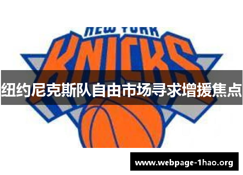 纽约尼克斯队自由市场寻求增援焦点