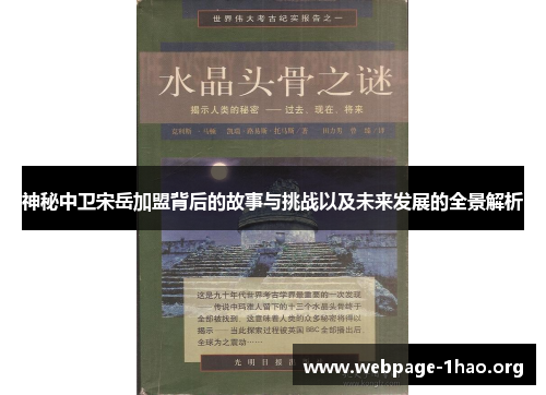 神秘中卫宋岳加盟背后的故事与挑战以及未来发展的全景解析