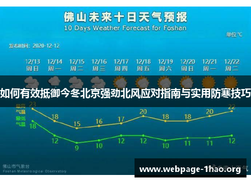 如何有效抵御今冬北京强劲北风应对指南与实用防寒技巧