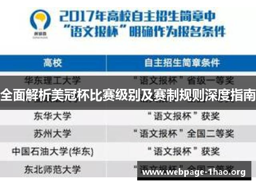 全面解析美冠杯比赛级别及赛制规则深度指南 全面解析美冠杯比赛级别及赛制规则深度指南
