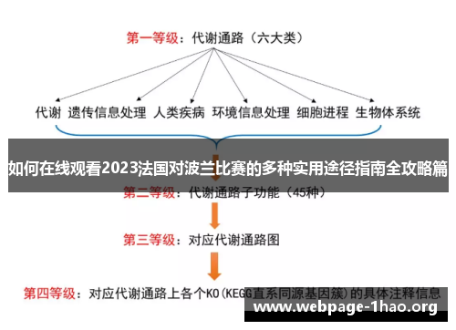 如何在线观看2023法国对波兰比赛的多种实用途径指南全攻略篇