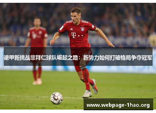 德甲新挑战非拜仁球队崛起之路：新势力如何打破格局争夺冠军